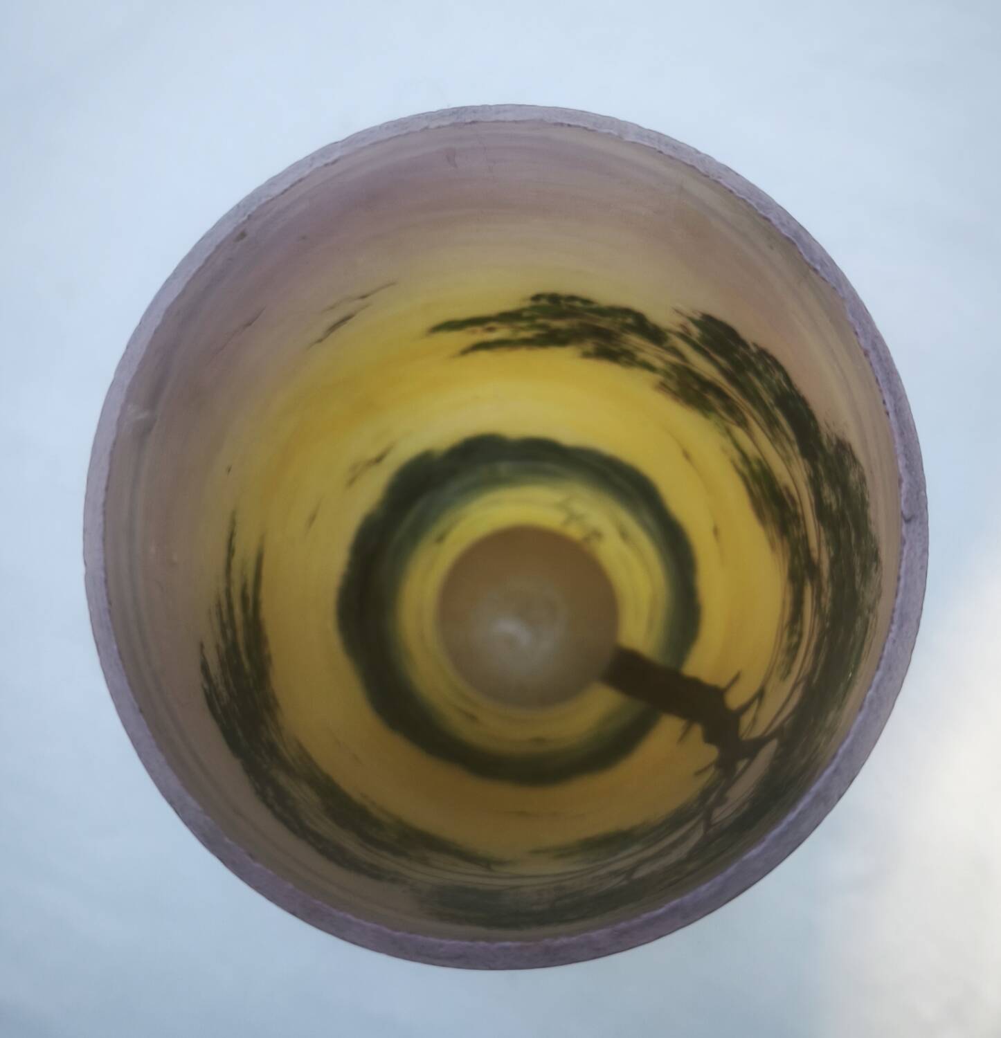 Vase with lake decoration signed Michel