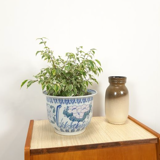 Patterned vintage flowerpot
