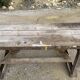 Established in raw wood