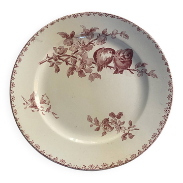 Assiette plate modèle Favori de Sarreguemines