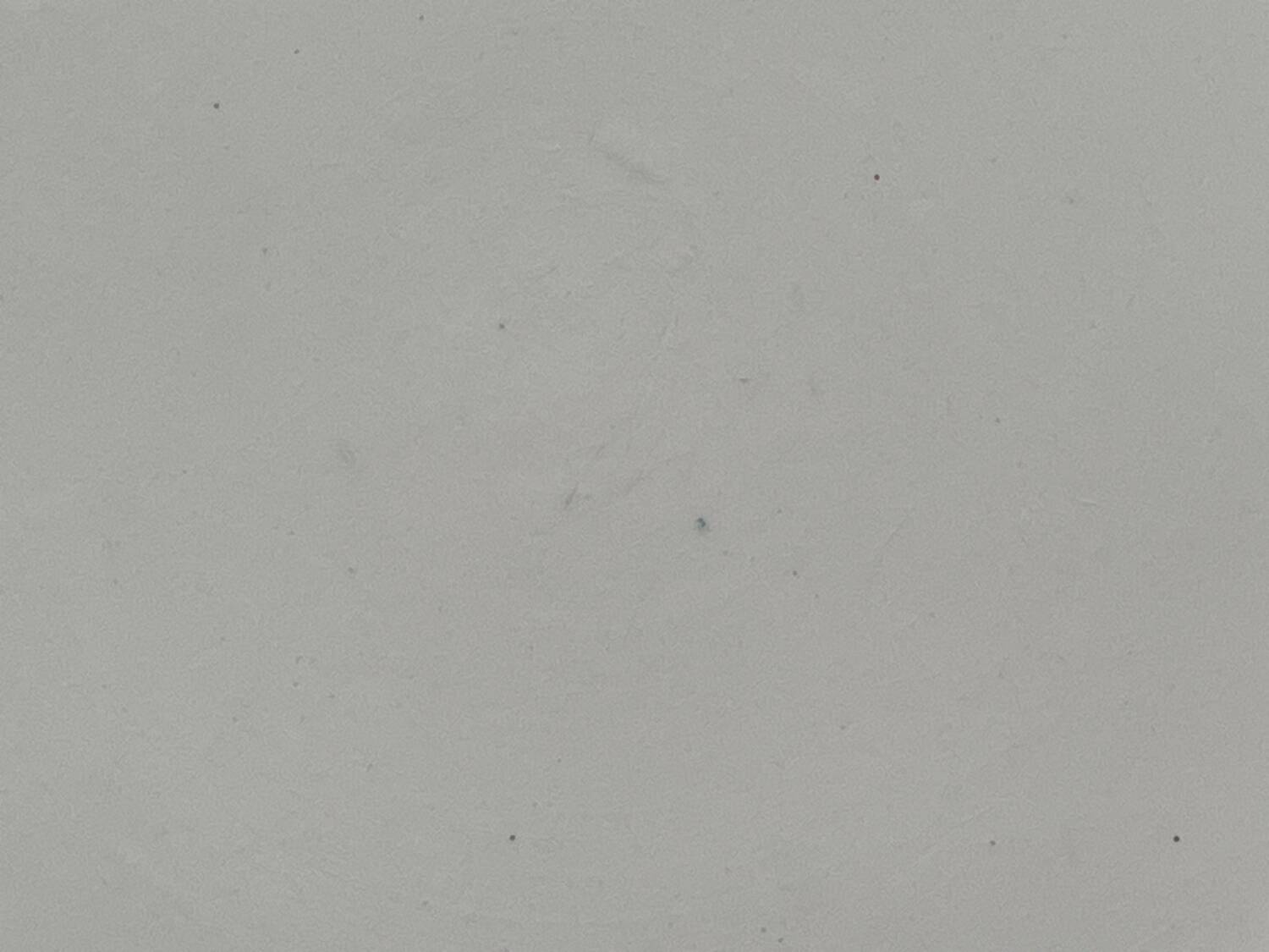 6 Longwy Ironstone Flat Plates, Richelieu Pattern