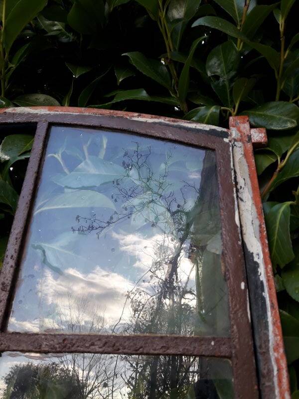 W84xH137.5 industrial curved metal glass frame window