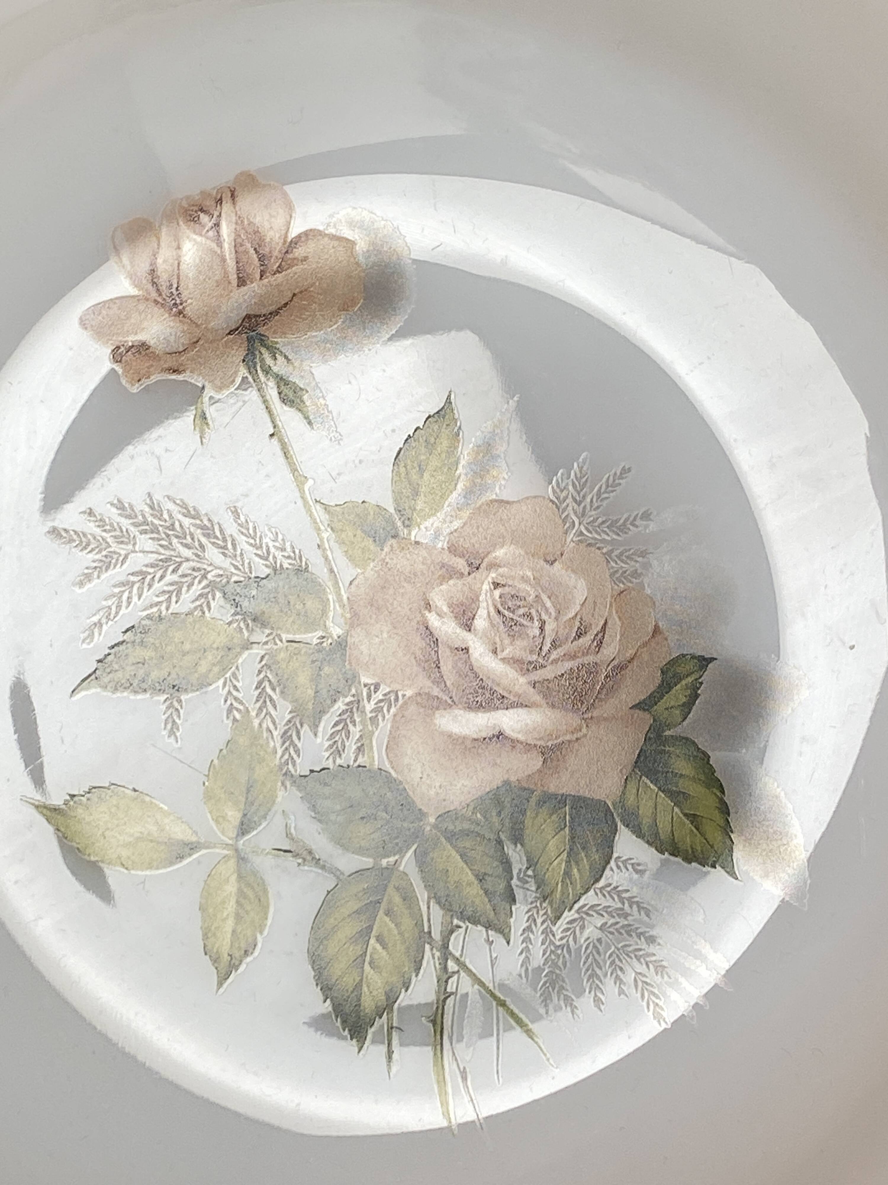 Set de 6 assiettes creuses Arcopal Rose de France