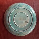 Plate Parrot J.vieillard (A De Caranza)