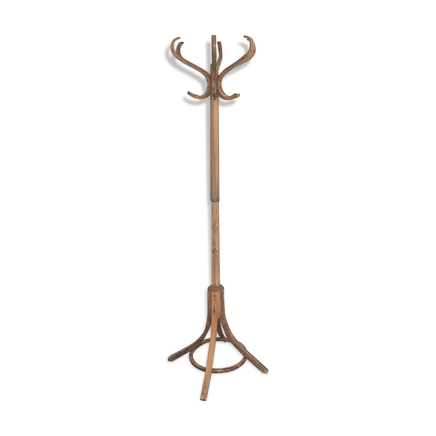 Baumann parrot coat rack