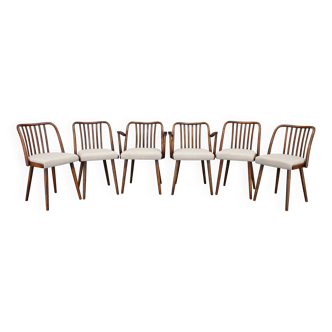 1960s Antonin Suman Set of Six Beech Dining Chairs, Restored