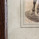 Drawing with lead mine, rider, signed
