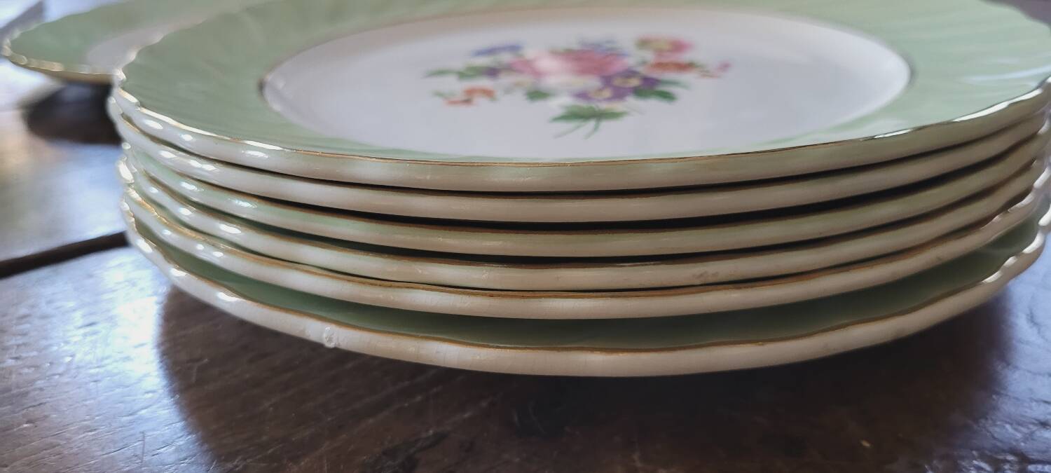 Dinner plates