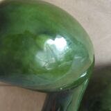 Duck spinach