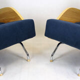 Mid-century r-360 ash armchairs by Janusz Różański, 1960s, Set of 2