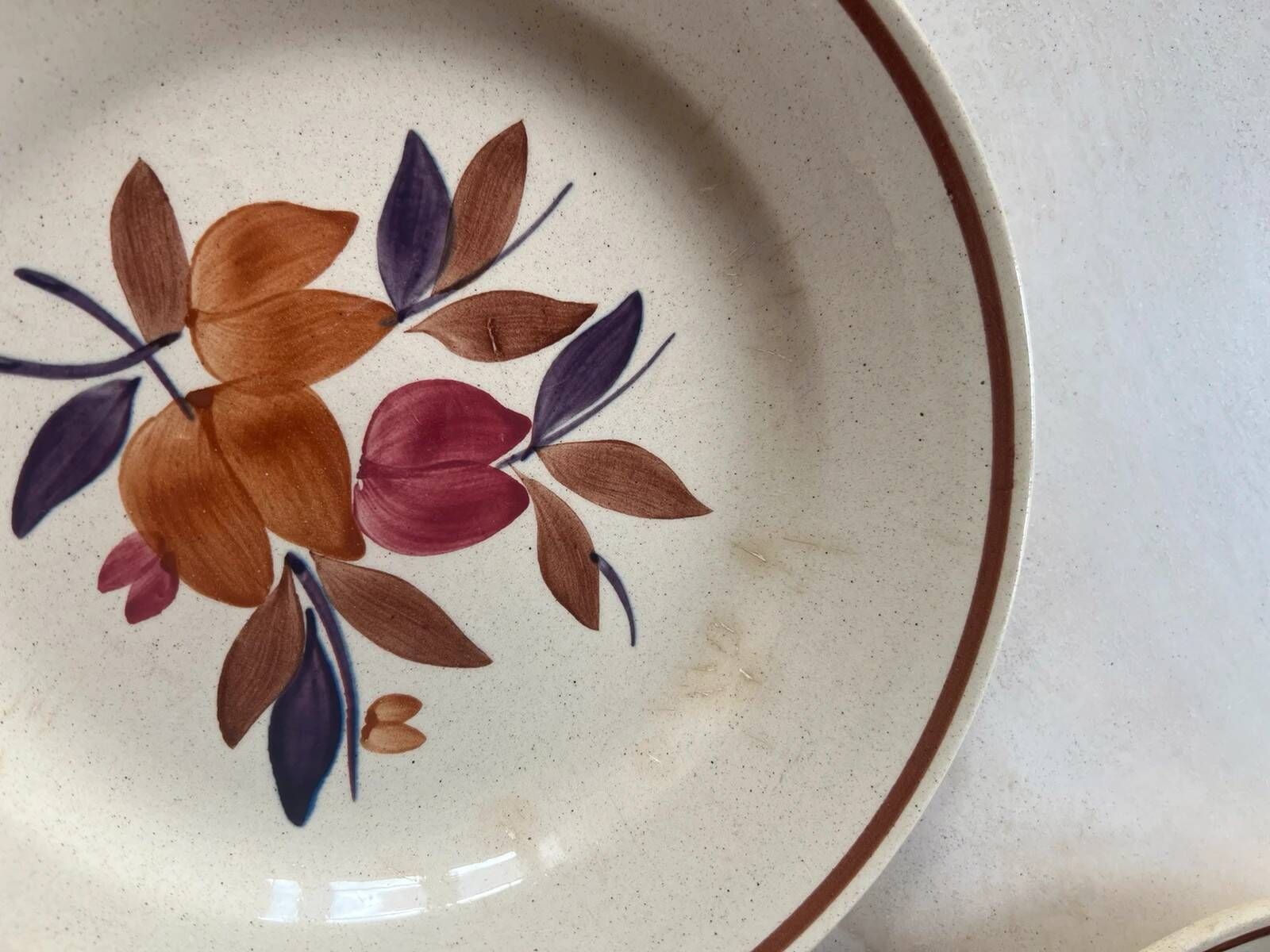 set of 1970s flower plates