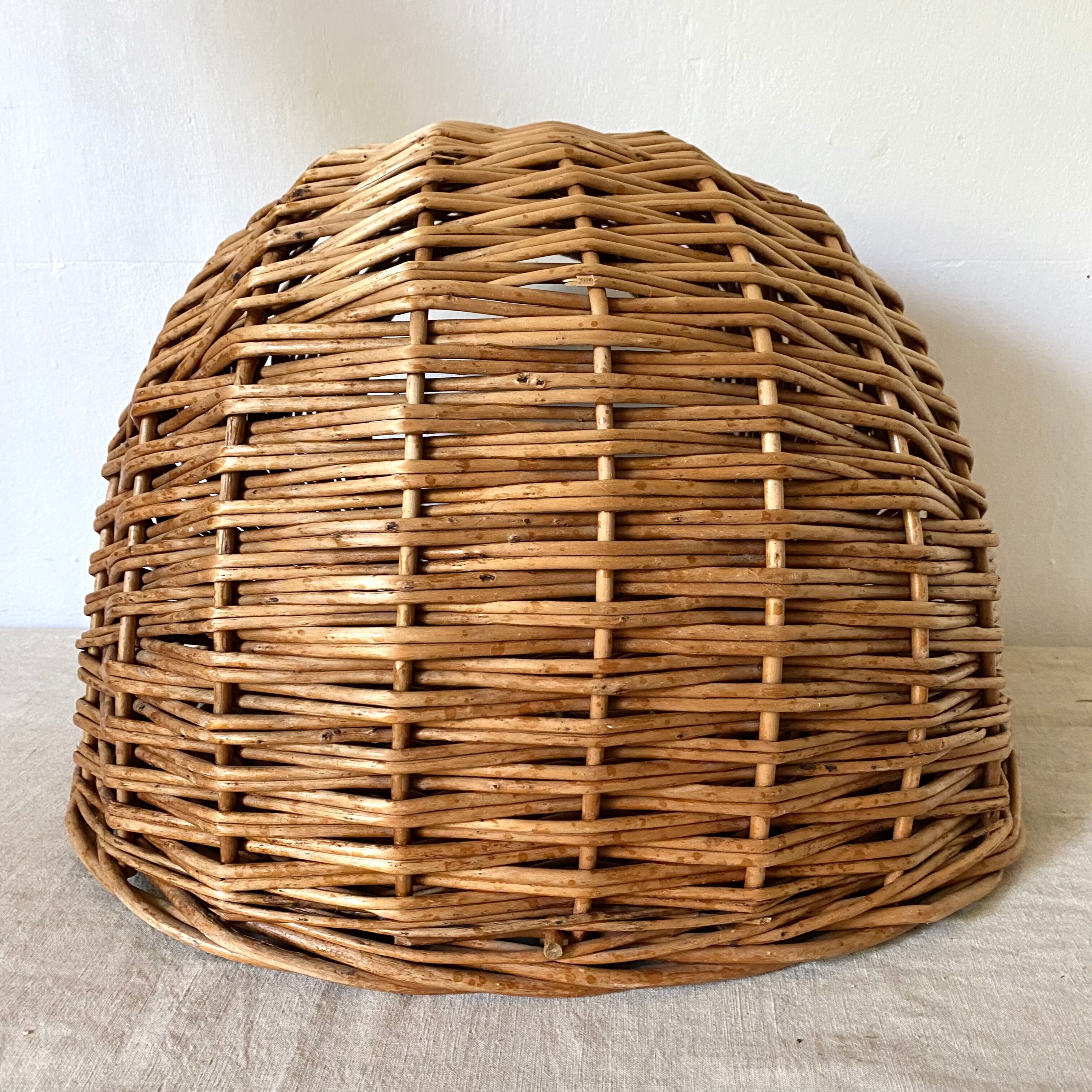 Basket for cat or dog in woven wicker