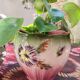 Slip pot cover
