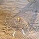 7 white wine/port glasses ART NOUVEAU - floral decoration - Baccarat Fine 19