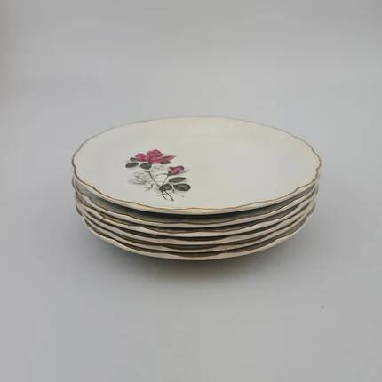 6 assiettes plates en porcelaine Digoin Sarreguemines - Modèle Sévigné