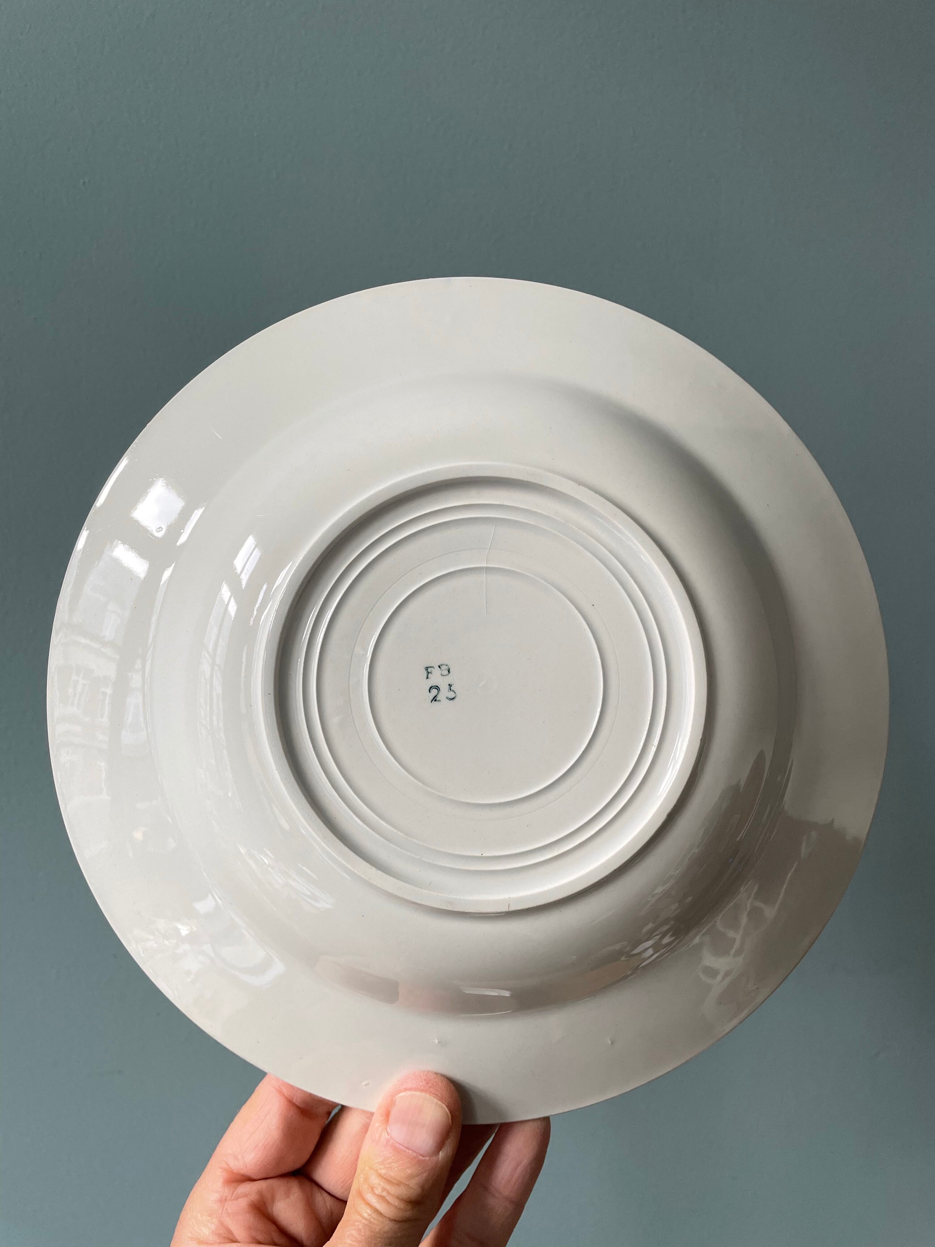 Set of 10 vintage hollow plates in Badonviller earthenware