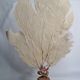 Antique gorgonian coral, Venus fan, on solid wood base, 58 cm