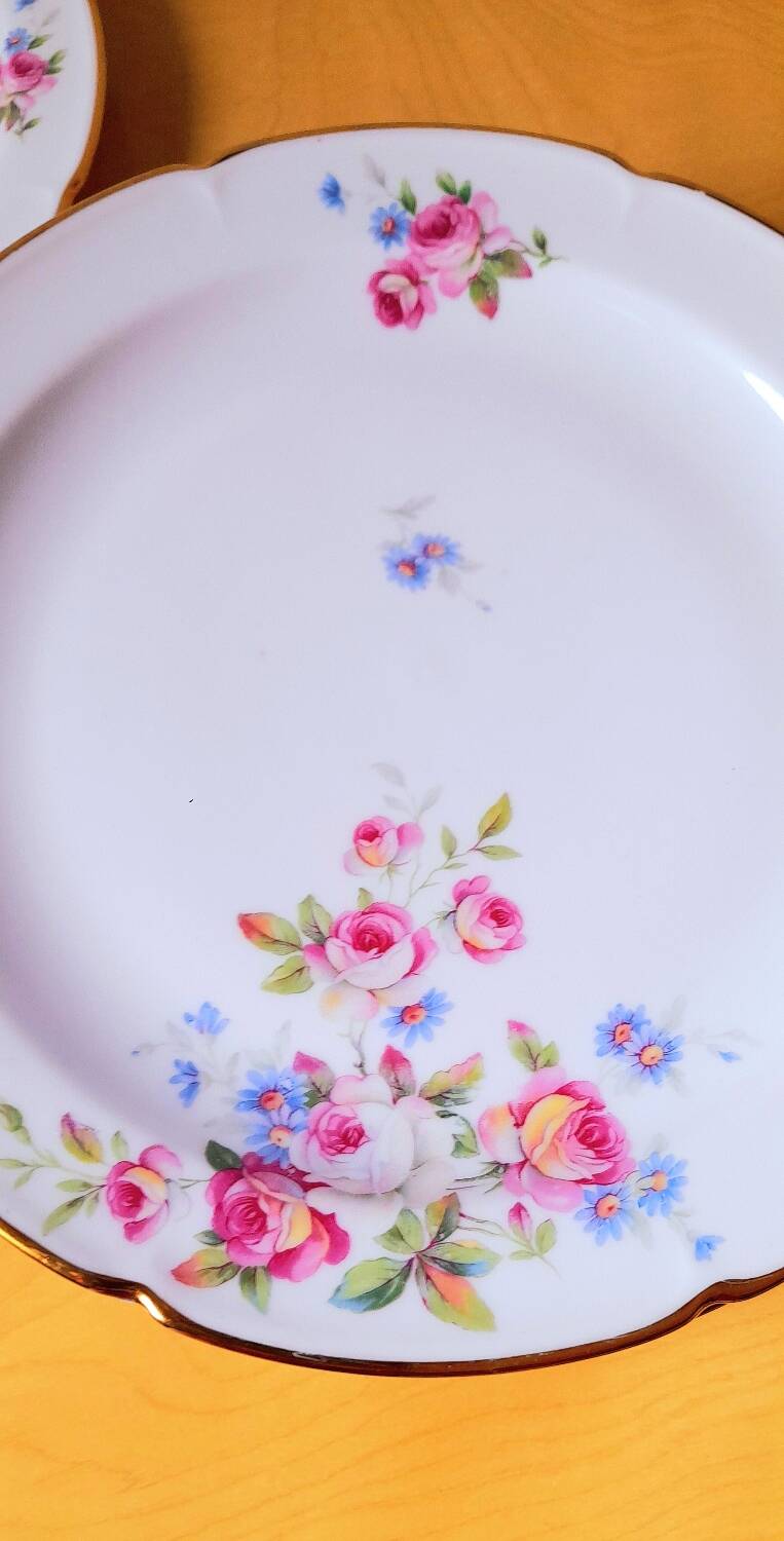 CB France porcelain plates