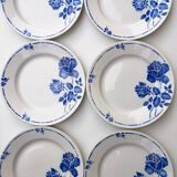 Flat plates Moulin des Loups - St Amand