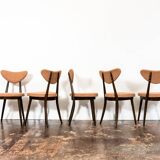 Model No. 124 Dining Chairs by Helena & Jerzy Kurmanowicz, 1960s, Poland, Set of 5