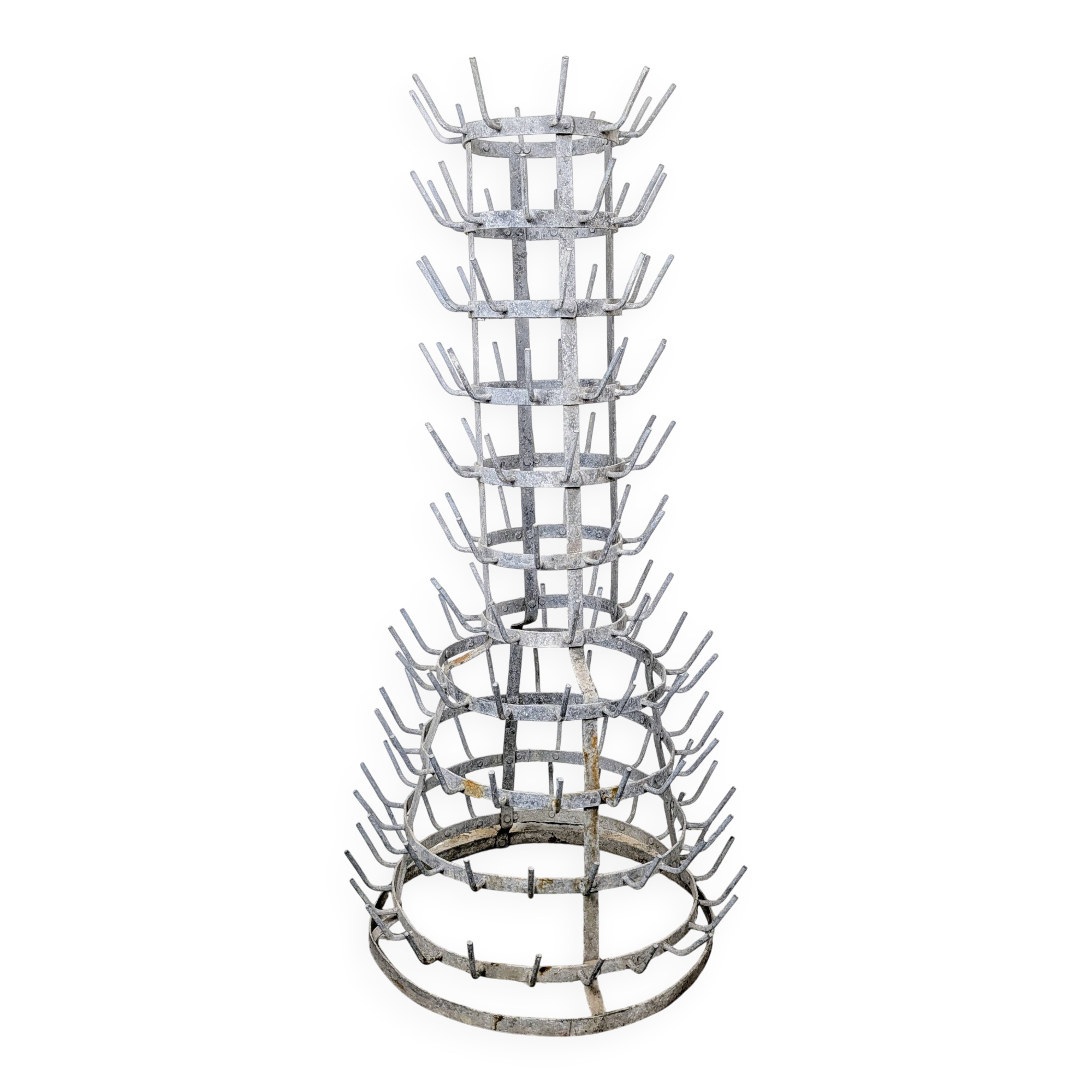 Hedgehog or bottle tree