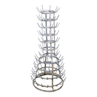 Hedgehog or bottle tree