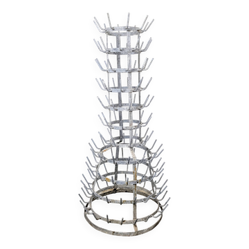 Hedgehog or bottle tree