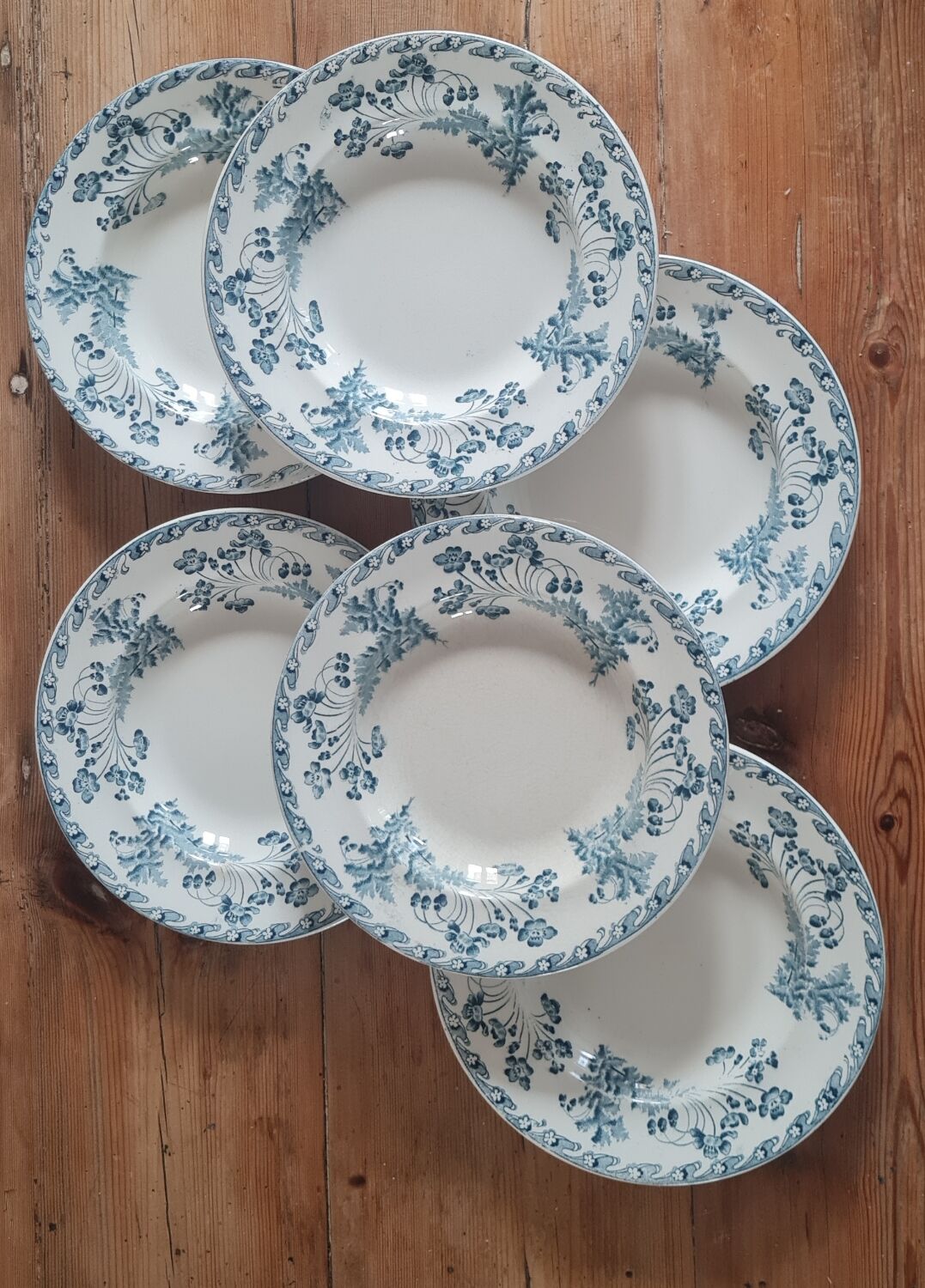 Service of 6 plates in iron earth