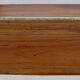 Chest in camphor tree
