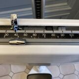 Personal scale and medicine measuring rod
