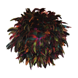 Juju hat Plumes sauvages