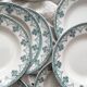 10 earthenware soup plates "Cahors" Saint Amand