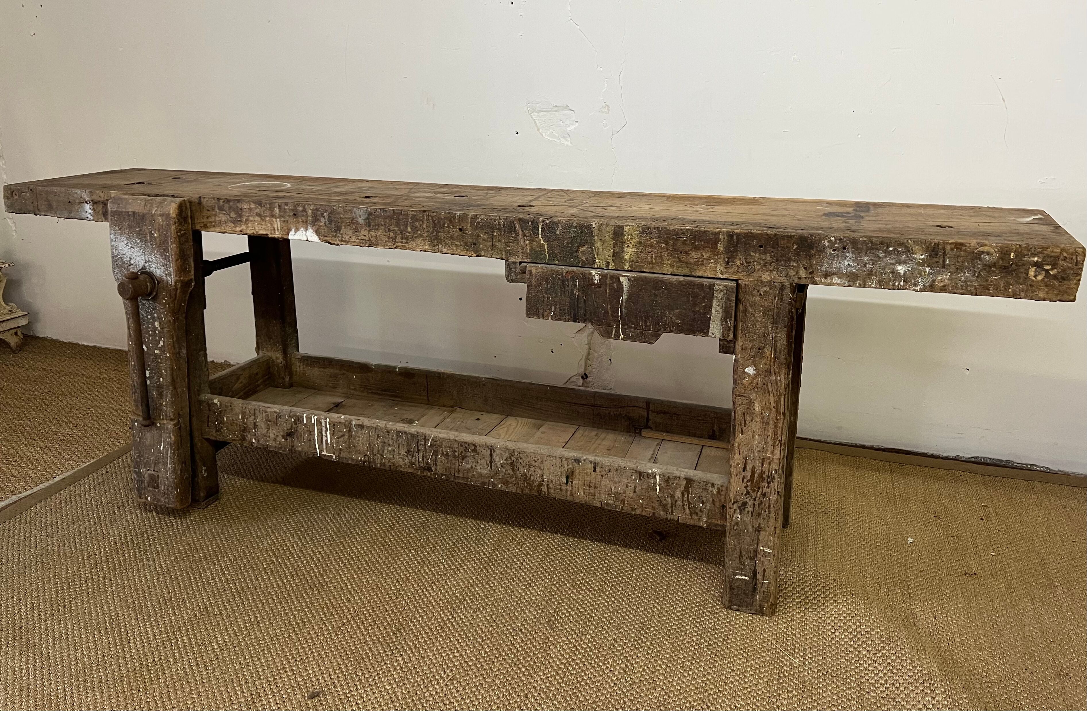 Established in old wood