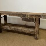 Established in old wood