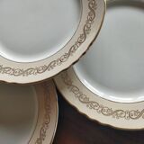 5 "Valence" flat plates from Moulin des Loups