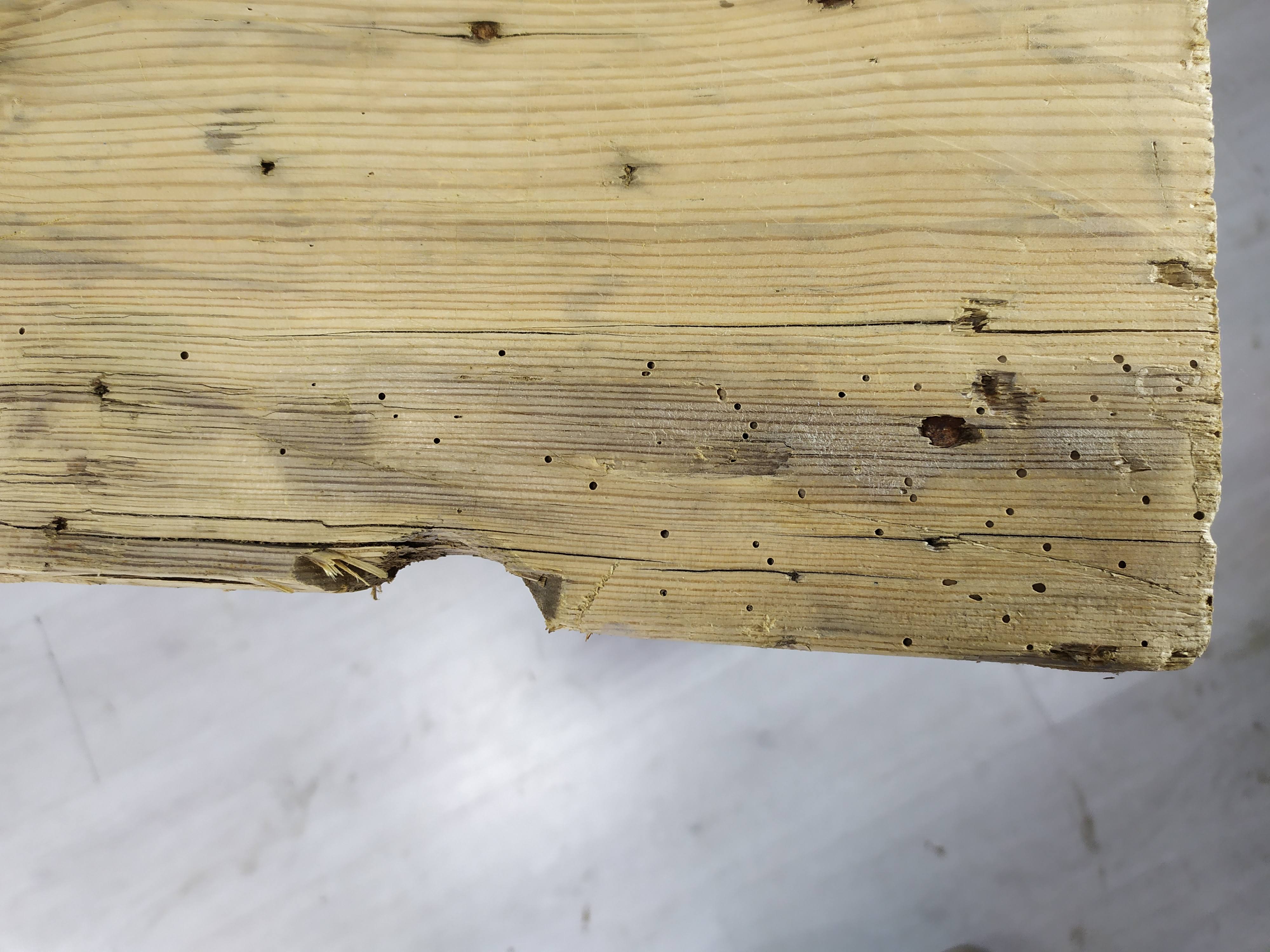 Workshop table established