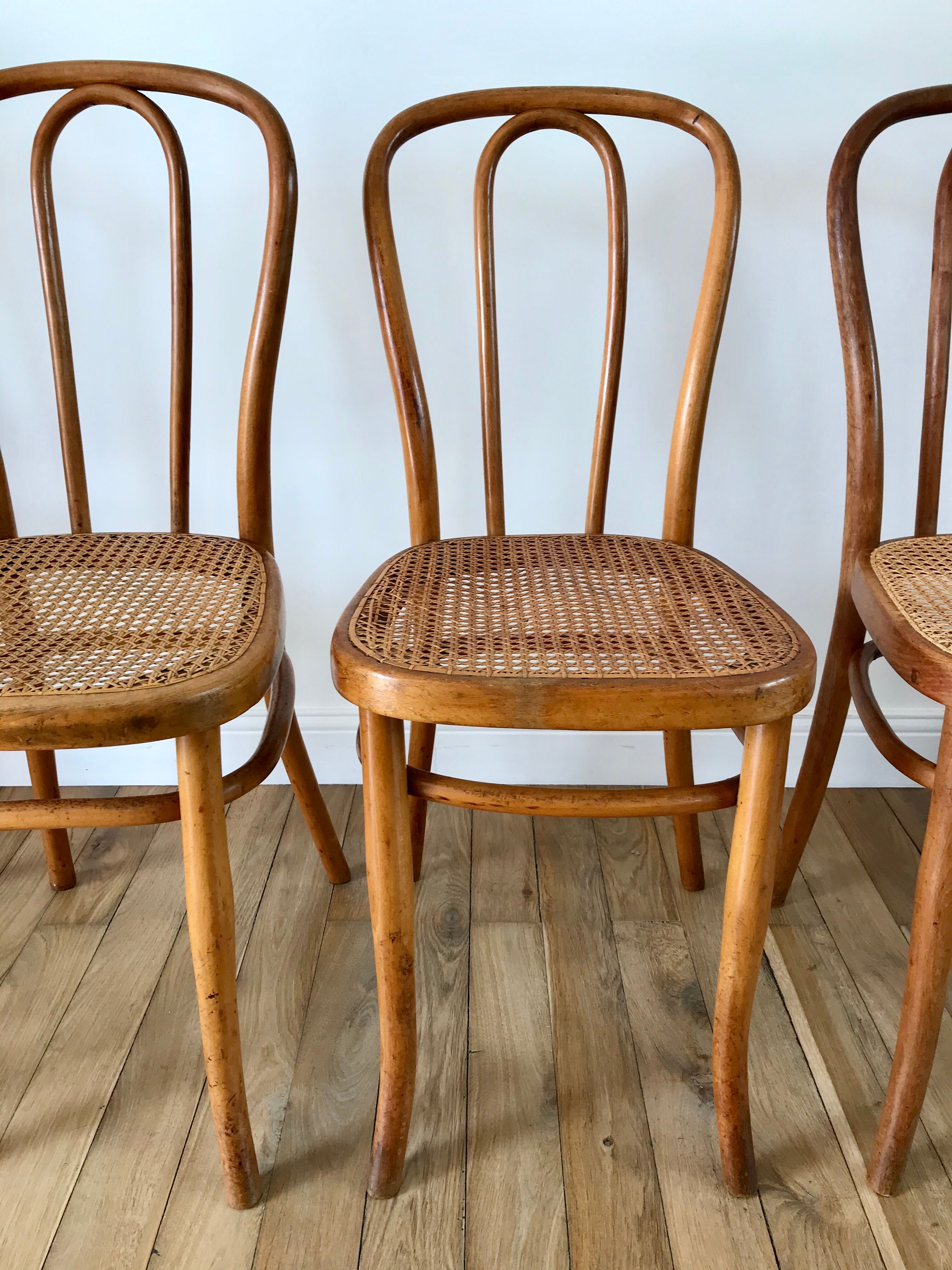 Set of 4 cane chairs in bentwood and honey-coloured cane thonet early 20th century
