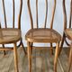 Set of 4 cane chairs in bentwood and honey-coloured cane thonet early 20th century