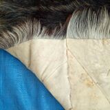 Skin from Tibet 187x160cm