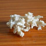 Lot of 3 pieces of coral