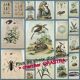 Antique engraving from 1839 - Pulmonary - Hand-colored zoological and botanical plate. Original.