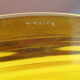7 flat plates in amber yellow glass - Ondine Duralex France - vintage 70s