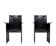 Pair Arm Chairs Arrben model solaria 1970s Italy