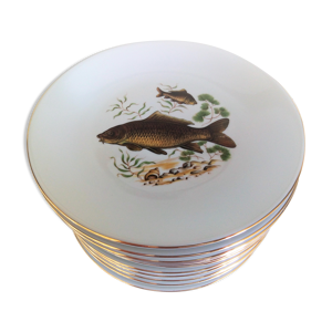 12 assiettes poisson