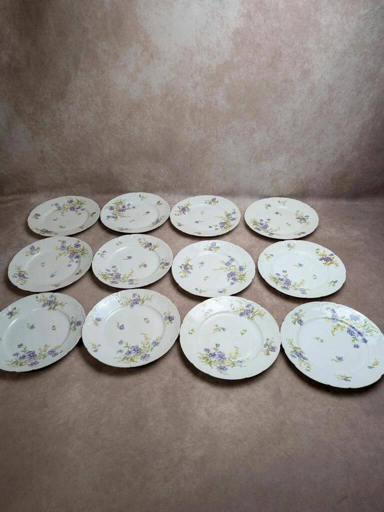 Set of 12 dessert plates in Limoges porcelain GDA France – floral design