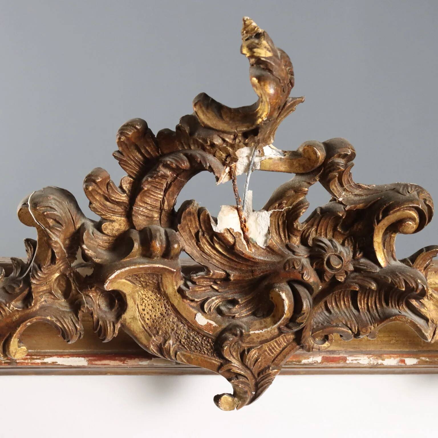Golden wooden cornice with rocaille carving