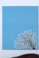 Peinture sur toile - cerisier