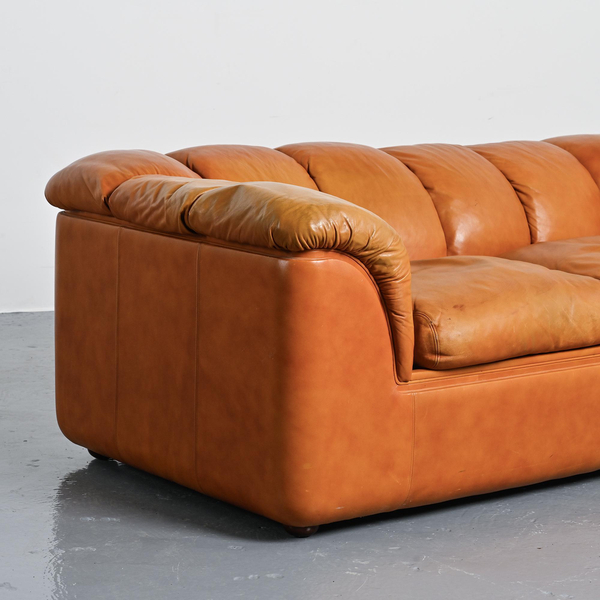 Cocker sofa in leather, Franco Bresciani for Poltrona Frau, 1970s