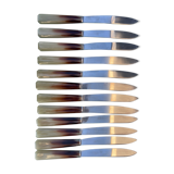 12 vintage knives with bakelite handle