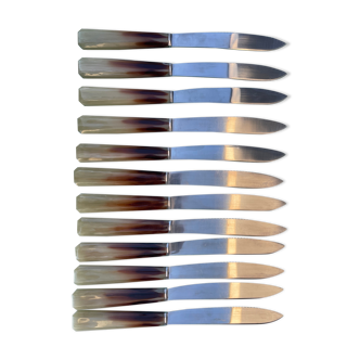 12 vintage knives with bakelite handle